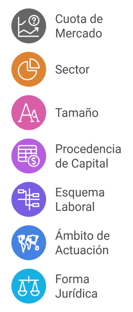 tipos de empresas infografía